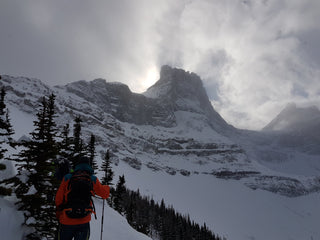 The Fortress Still Stands