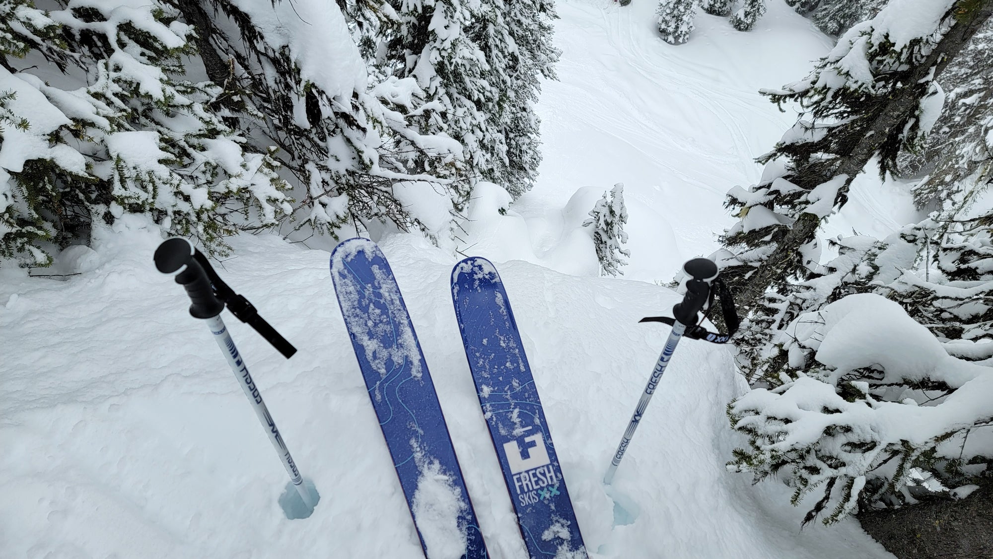 fresh skis in revelstoke