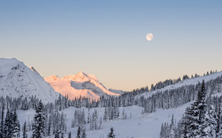 Gloves: Love Affair or Marriage of Convenience?