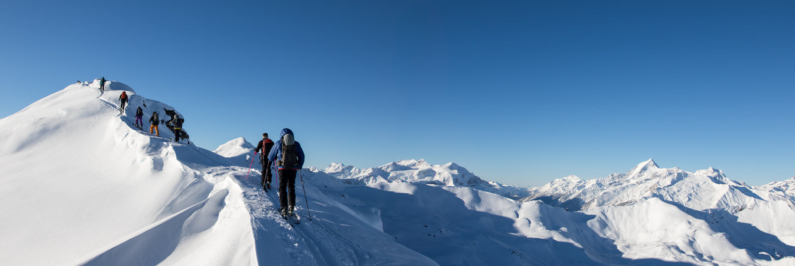 Backcountry Tips from Hoji and a Ski Guide