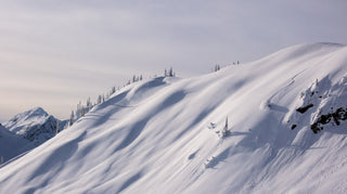 Down the Guide's Path