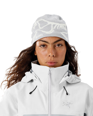 Arc'teryx BIRD HEAD TOQUE Solitude/Arctic Silk